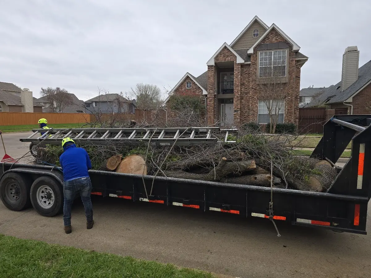 Expert Tree Removal with proper safety equipment in Hillsboro